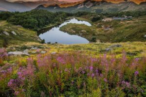_DSC5338-HDR_1